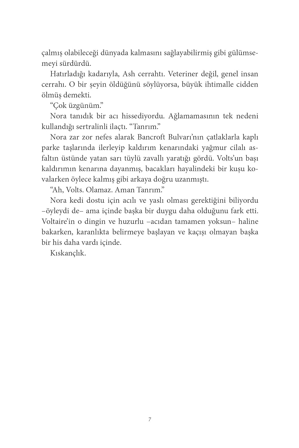 Ürün görseli 12
