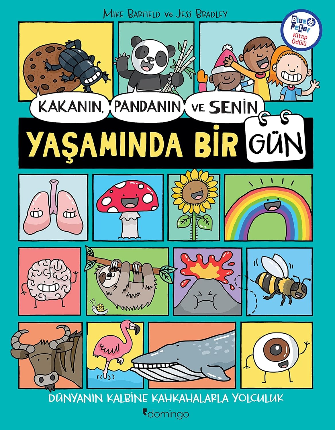 Kakanın Pandanın ve Senin Yaşamında Bir Gün