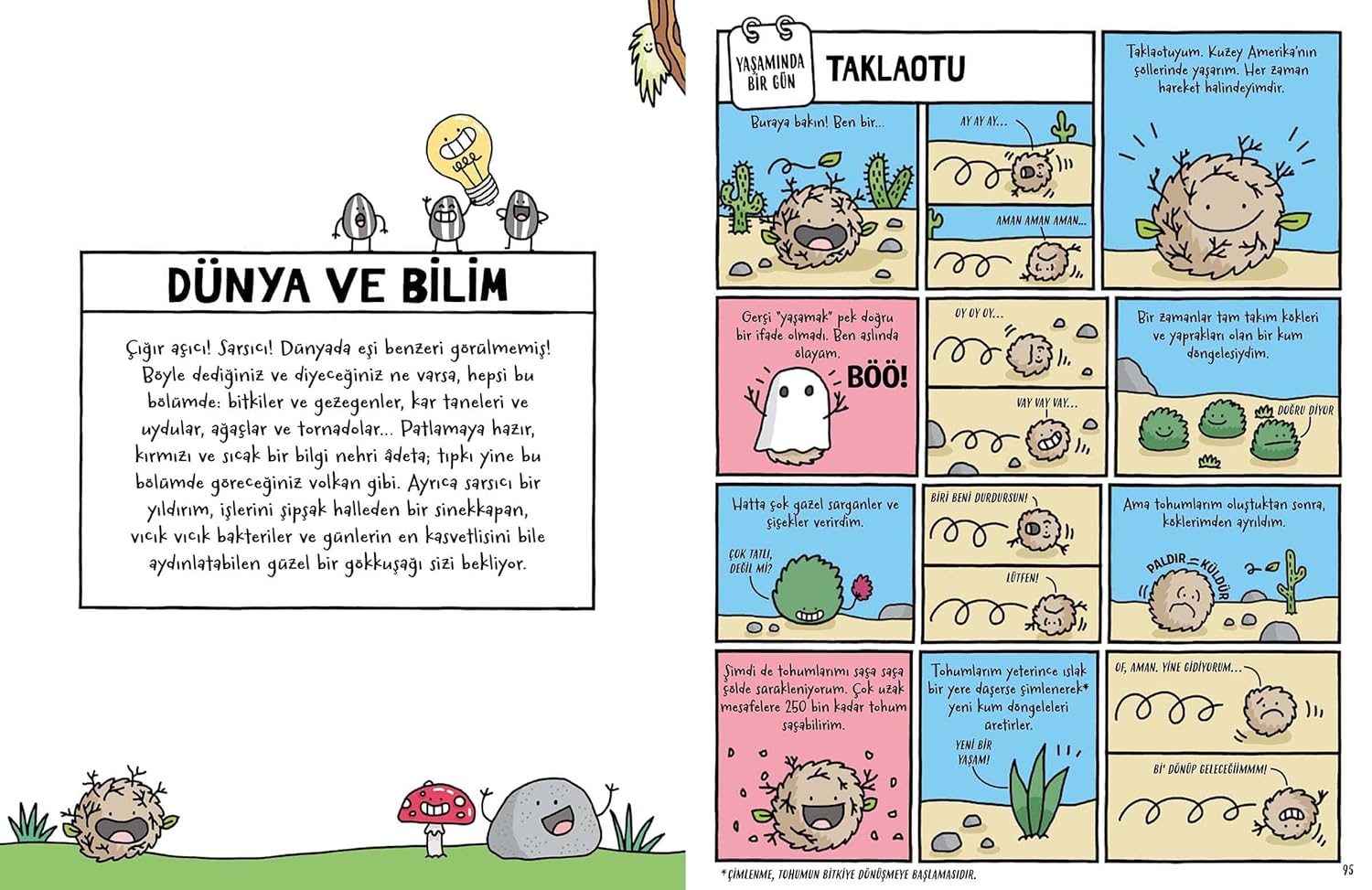 Ürün görseli 10