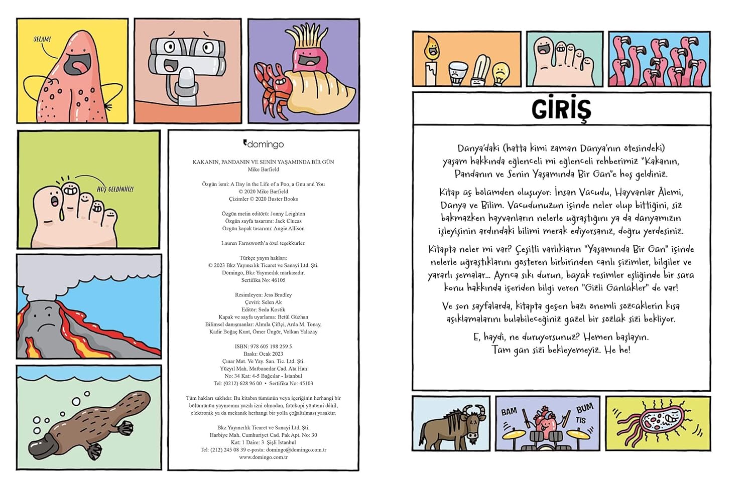 Ürün görseli 3