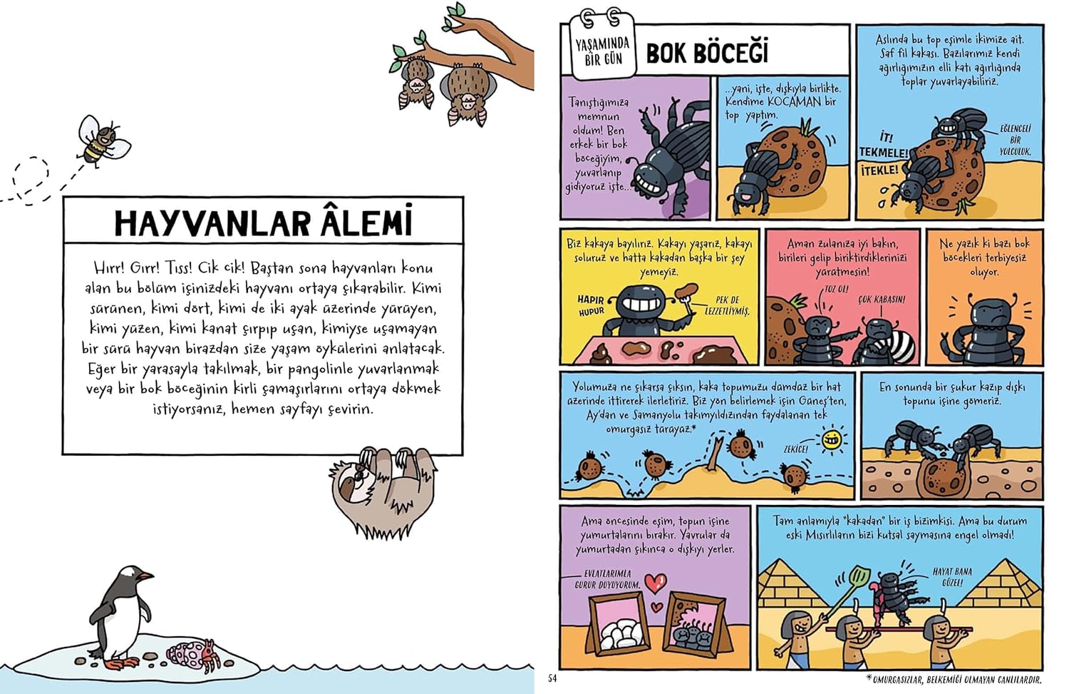 Ürün görseli 7