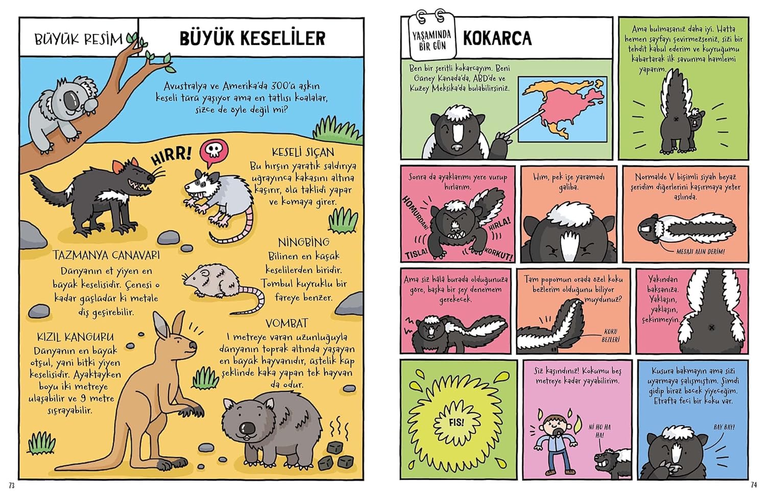 Ürün görseli 9