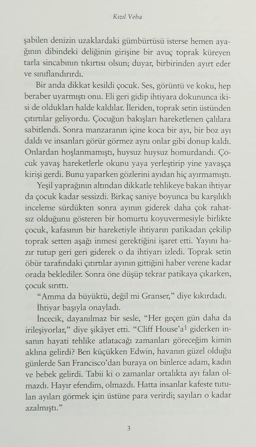 Ürün görseli 8